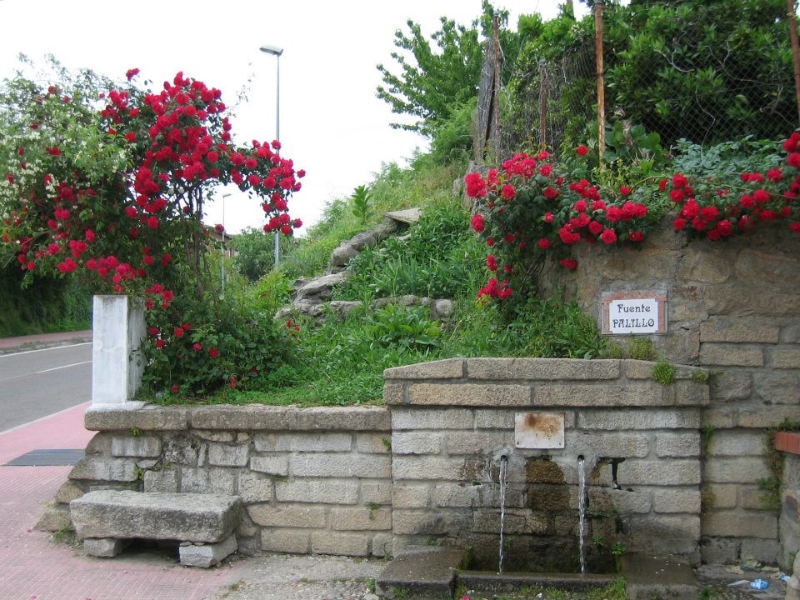 Fuente Palillo (Senderismo Los Vettones) Fuente Palillo (Senderismo Los Vettones)