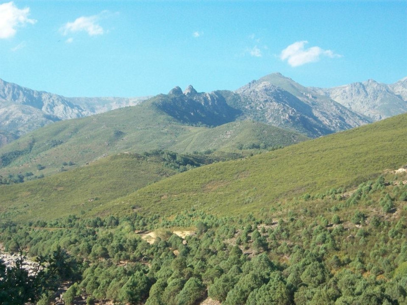 Sierra de Gredos (Jorge)