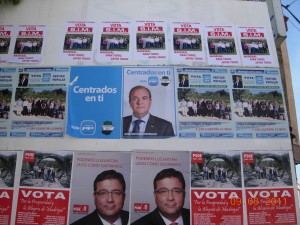 ELECCIONES LOCALES 2011